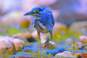 2020-2024赛季西甲篮球联赛简介及表格分析西甲男篮联赛简介表格