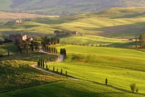 西甲联赛收米技巧,如何在西甲联赛中赚取收益西甲联赛收米技巧